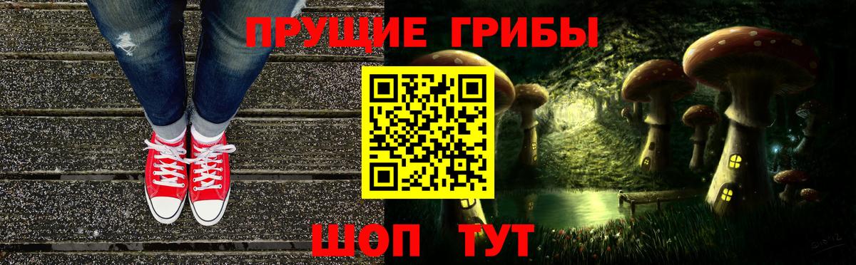 Кудымкар  Галлюциногенные грибы MAGIC MUSHROOMS  Вход с VPN 