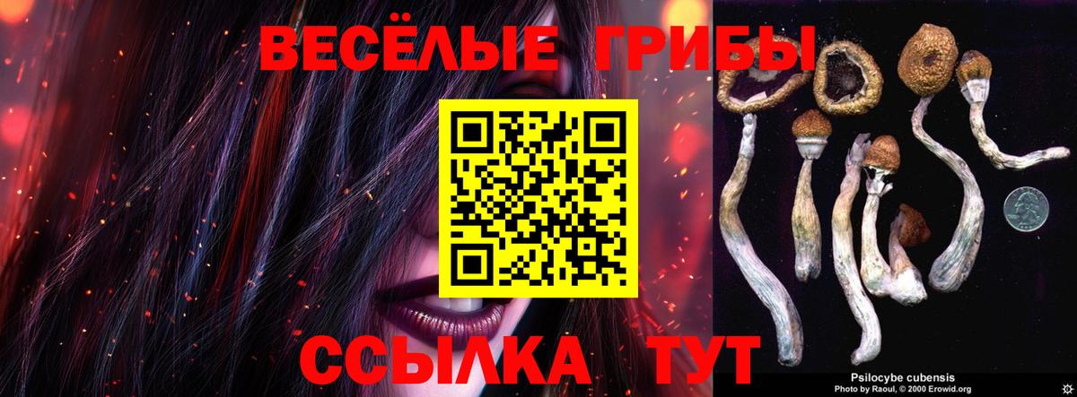 Псилоцибиновые грибы мицелий Кудымкар